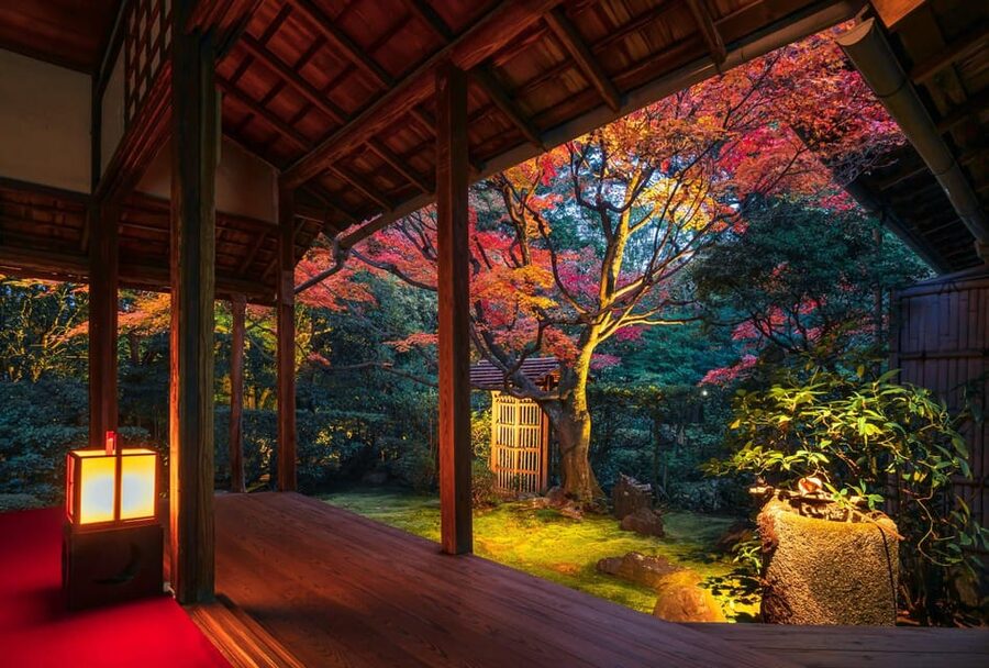 Kyoto: Nighttime Zen Meditation and Matcha Tea Experience - Sehakuan tea room and Kano Sansetsu’s paintings