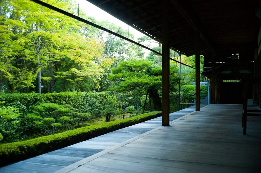 Kyoto: Nighttime Zen Meditation and Matcha Tea Experience - Who will enjoy this Kyoto evening most