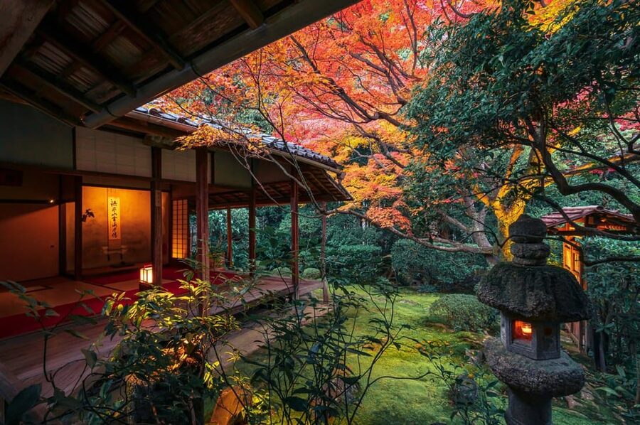 Kyoto: Nighttime Zen Meditation and Matcha Tea Experience - The four illuminated gardens at Keishunin