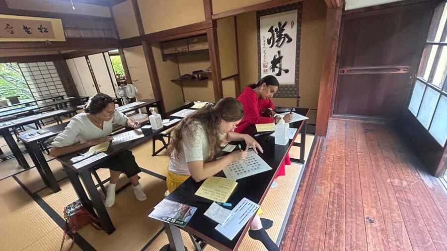 Kyoto: Shakyo & Matcha in Historic Temple Garden - Who will enjoy this temple experience most?
