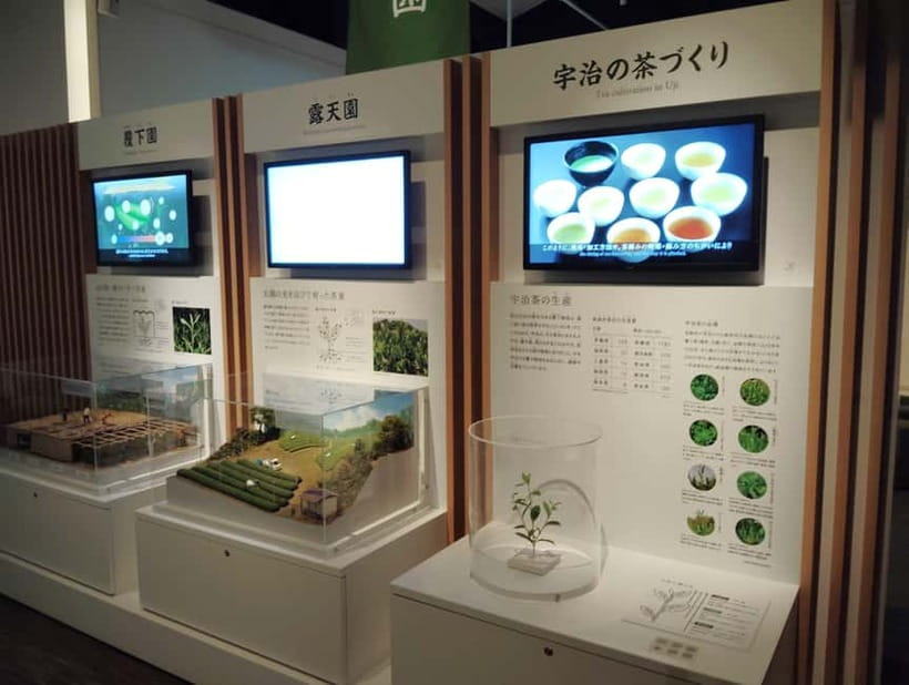 Kyoto: Tea Museum and Tsuen Teahouse Guided Tour - Why Uji is the right place for a tea tour