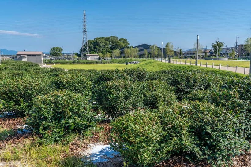 Kyoto: Tea Museum Tickets and Matcha Grinding Experience - Who will enjoy this activity most