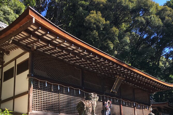 Kyoto tea town for matcha lovers - Tea fields, producers, and the work behind the powder