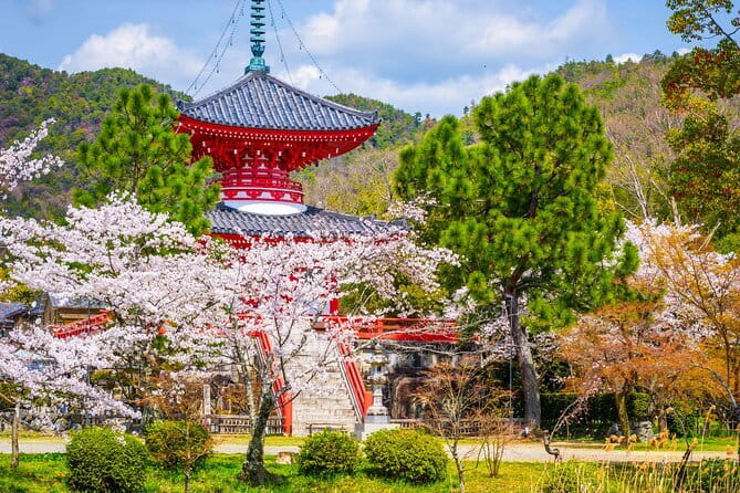 Kyoto WAKIMIZU Half Day Tour: Secrets of Matcha & Wagashi Sweets - Is the $80 price fair?