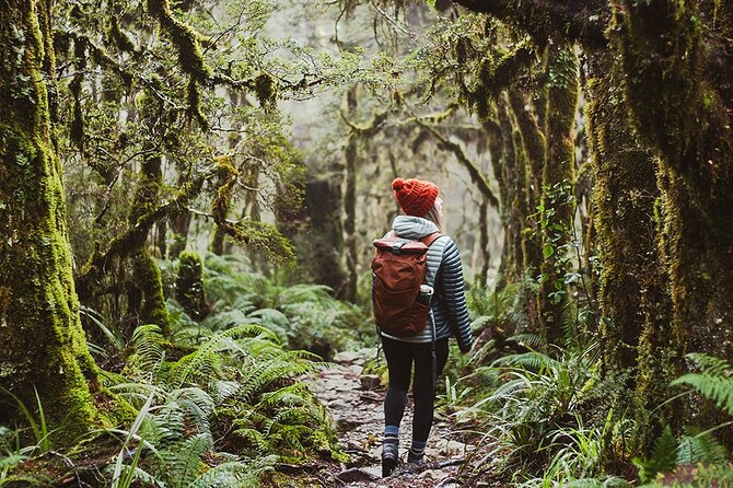 Lake Marian Guided Hike with Transfers, Lunch & Morning Tea - Key points at a glance