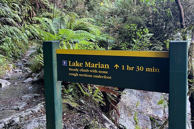 Lake Marian Guided Hike with Transfers, Lunch & Morning Tea - Morning tea with fresh baking