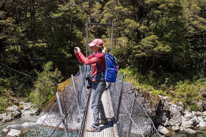 Lake Marian Guided Hike with Transfers, Lunch & Morning Tea - Returning to Te Anau after a full day