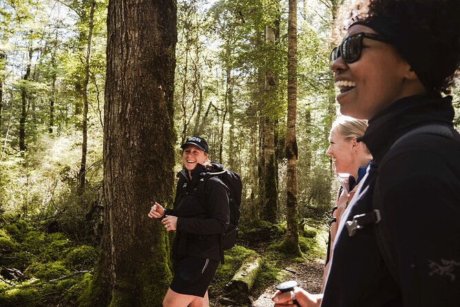 Lake Marian Guided Hike with Transfers, Lunch & Morning Tea - Leaving Te Anau at 8:30 am