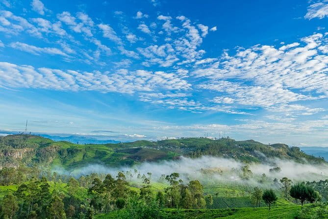 Lipton's Seat and Tea Factory,Trail Amidst Tea Plantation Day Tour - Key points to know before you book