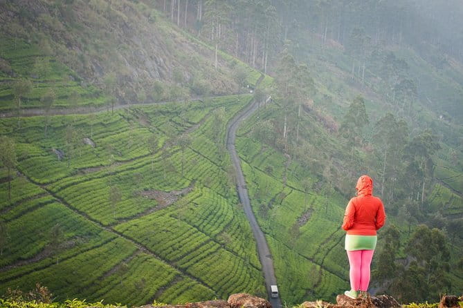 Lipton's Seat and Tea Factory,Trail Amidst Tea Plantation Day Tour - Why Lipton’s Seat is worth the trip from Ella