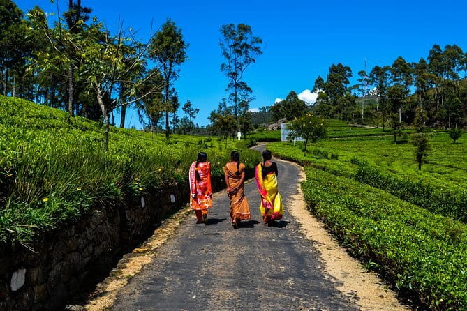 Lipton's Seat and Tea Factory,Trail Amidst Tea Plantation Day Tour - The tuk-tuk ride is part of the experience