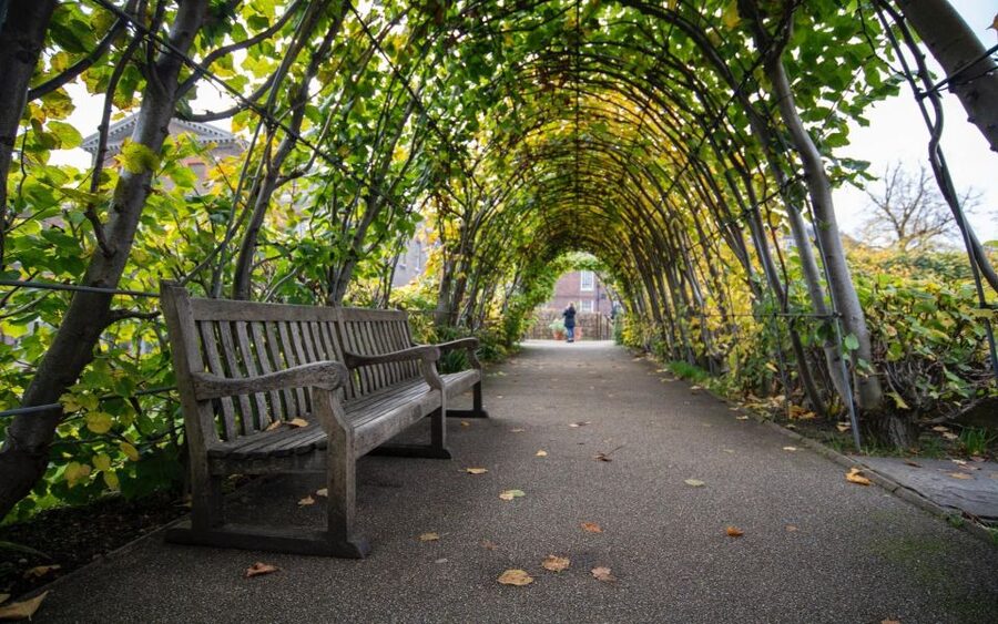 London Afternoon Tea, Fast-Track Kensington Palace Tickets - Why afternoon tea belongs at Kensington Palace