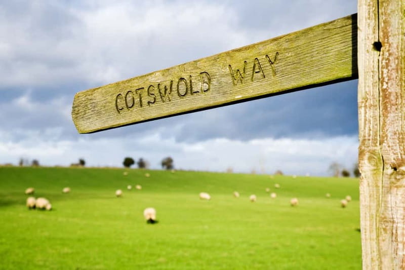 London: Cream Tea at Blenheim Palace & the Cotswolds Tour - How the timing affects your experience
