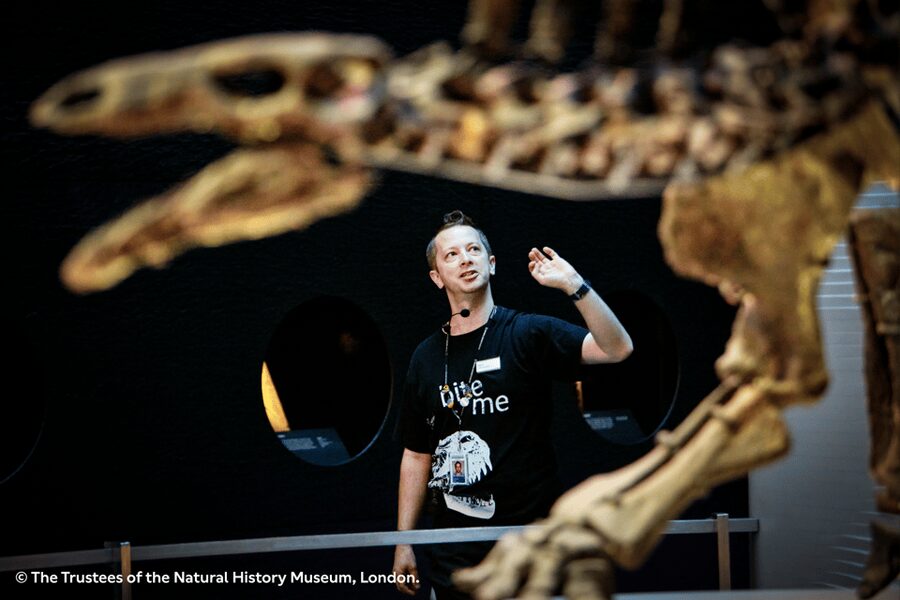 London: Natural History Museum Guided Tour & Afternoon Tea - What makes this experience worth your time