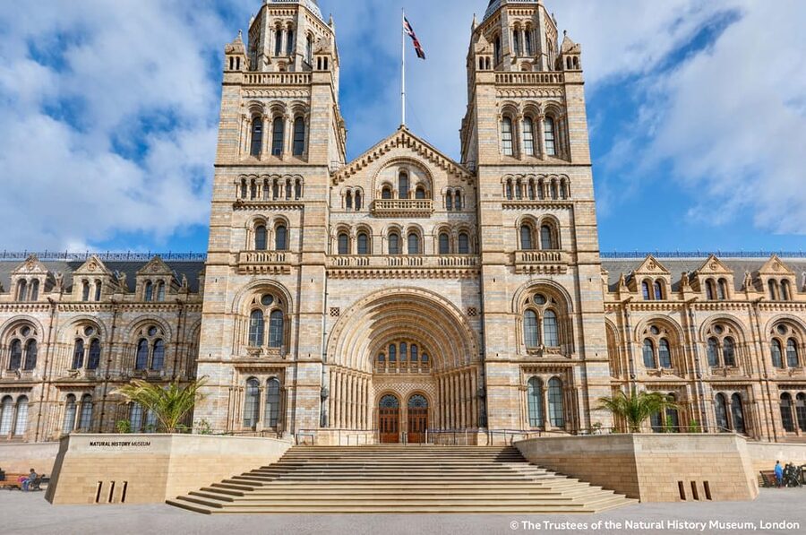 London: Natural History Museum Guided Tour & Afternoon Tea - Starting beside the Evolution Gardens