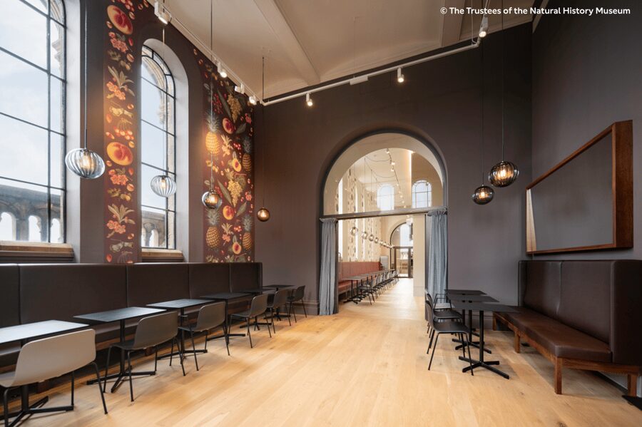 London: Natural History Museum Guided Tour & Afternoon Tea - A guide-led route with room for real questions