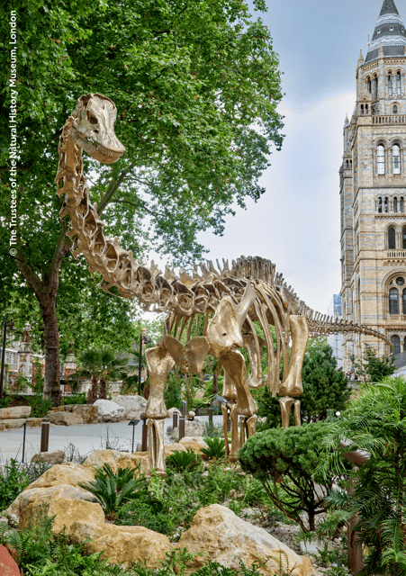 London: Natural History Museum Guided Tour & Afternoon Tea - Timing, dates, and practical planning