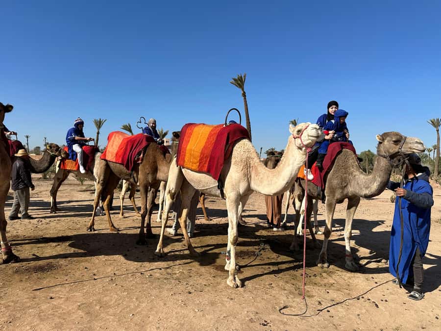 Marrakech:quad excursion at Jbilet desert with Moroccan tea - Leaving Marrakech for the Jbilet desert