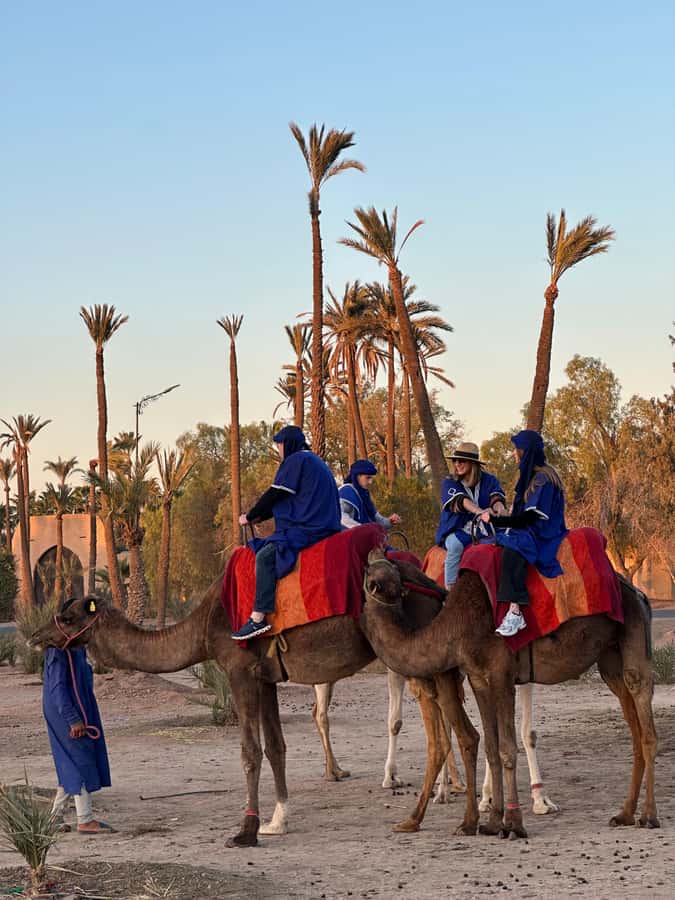 Marrakech:quad excursion at Jbilet desert with Moroccan tea - Riding through the palm grove