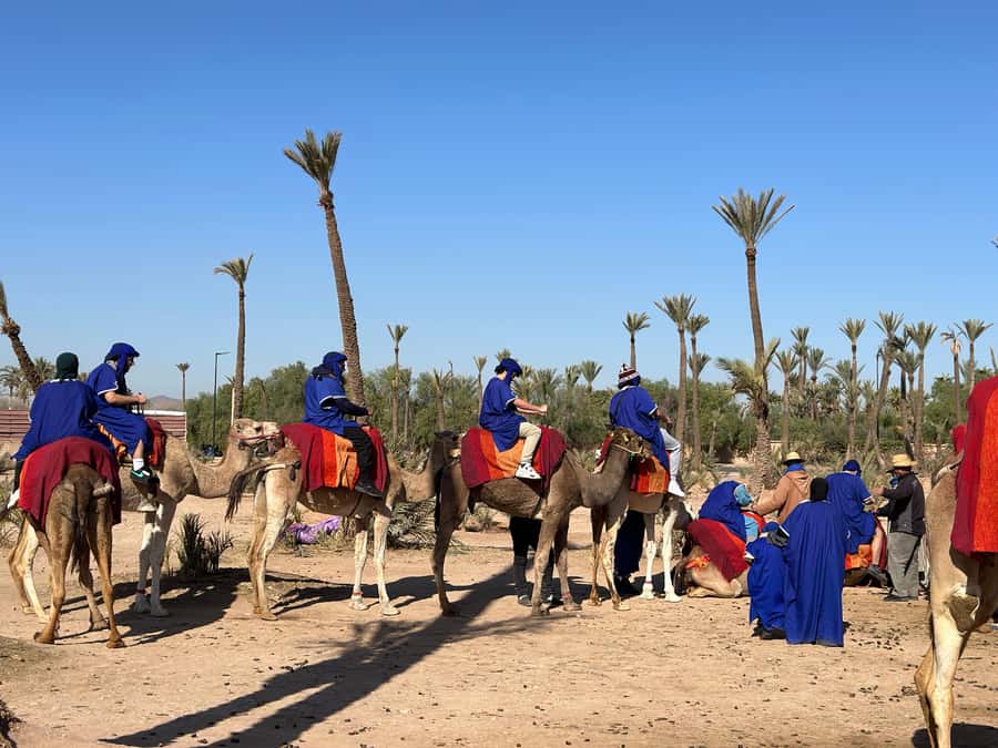 Marrakech:quad excursion at Jbilet desert with Moroccan tea - Moroccan tea in the middle of the desert