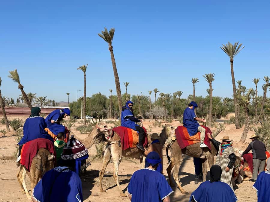 Marrakech:quad excursion at Jbilet desert with Moroccan tea - What to wear and bring for two hours outside