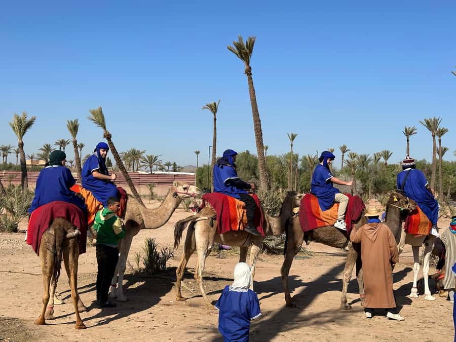 Marrakech:quad excursion at Jbilet desert with Moroccan tea - Is $17 good value for Marrakech?