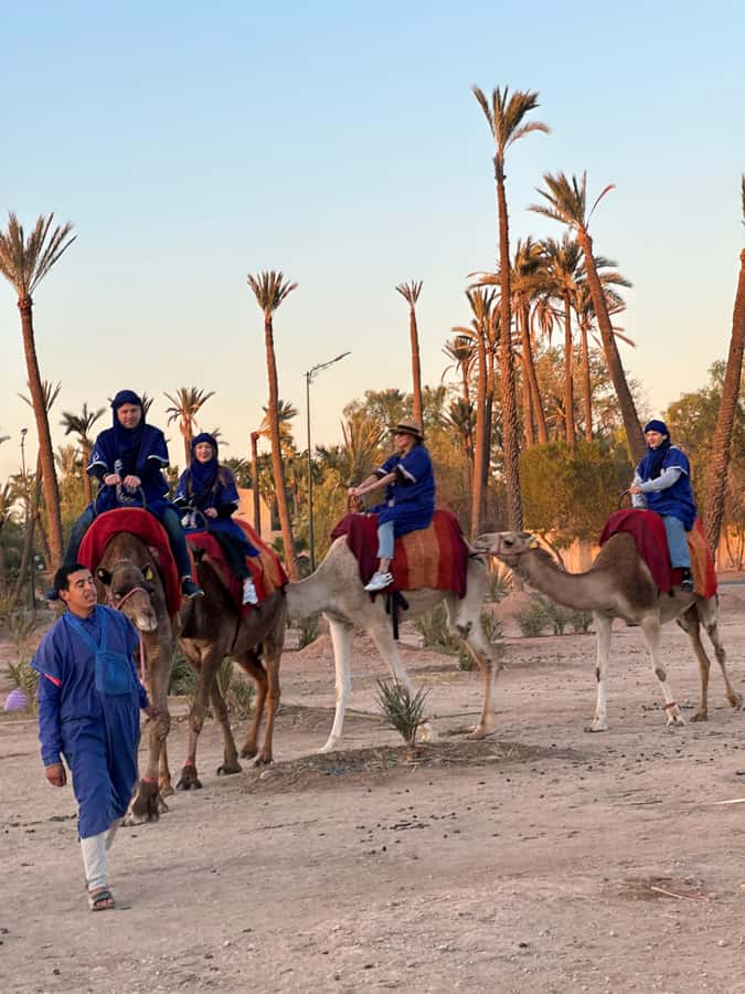 Marrakech:quad excursion at Jbilet desert with Moroccan tea - Who should book this experience?