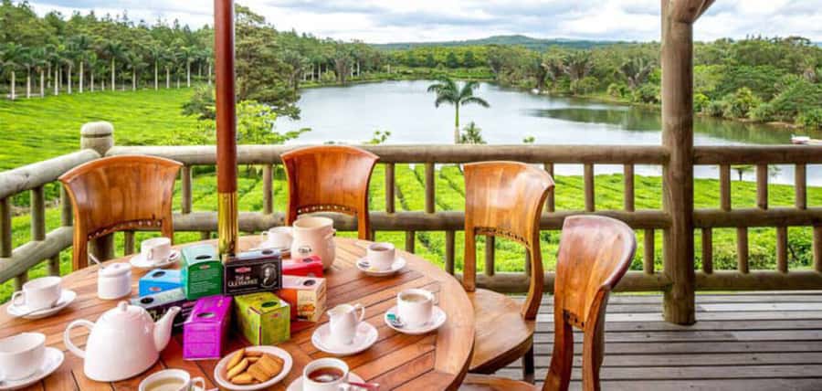Mauritius: Crocodile Park and Tea Factory Tour with Tasting - Why this pairing works in southern Mauritius