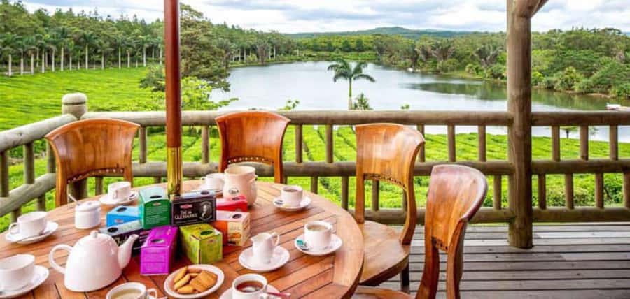 Mauritius: Tea, Rum and Vanilla Route with Lunch and Pickup - Rum tasting and the flavor of Mauritius