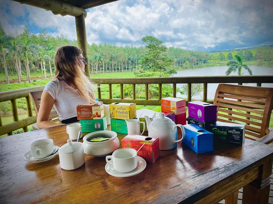 Mauritius: Tea, Rum and Vanilla Route with Lunch and Pickup - Le Domaine des Aubineaux and the 1872 colonial mansion