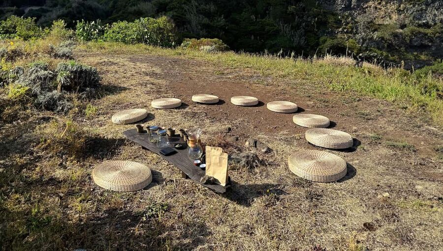 Mindful Tea Ceremony in Hidden Nature of Madeira - How the farmer-to-cup tasting works