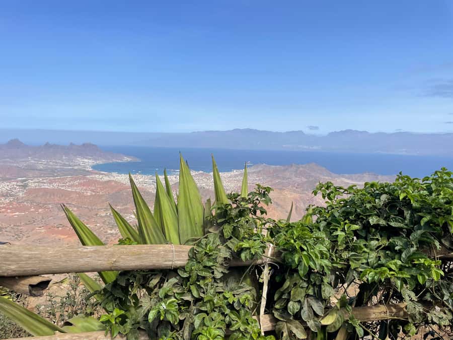 Monte Verde by Car & Tea House – São Vicente’s Highest Point - Key points about the Monte Verde outing
