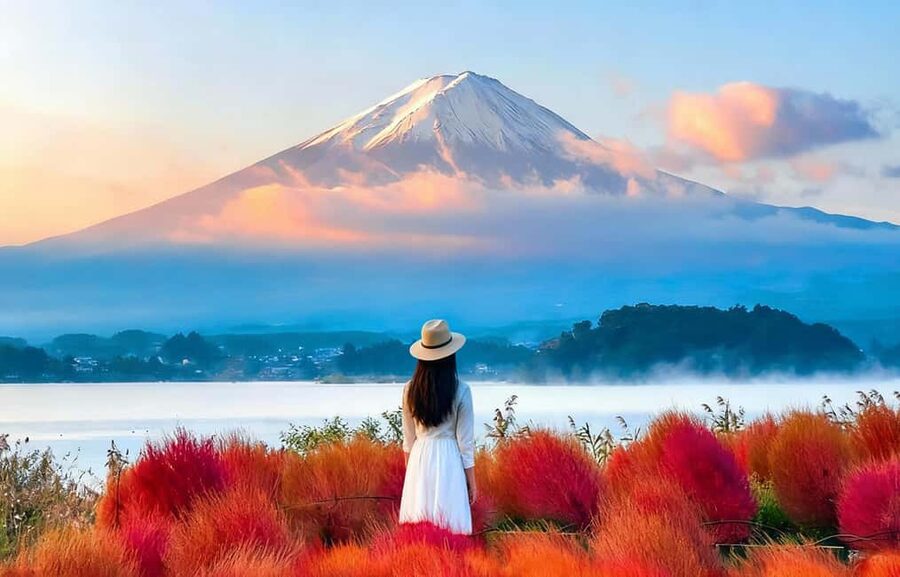 Mt. Fuji & Lake Kawaguchiko Ropeway Panorama Full-Day Tour - Key points to know before booking