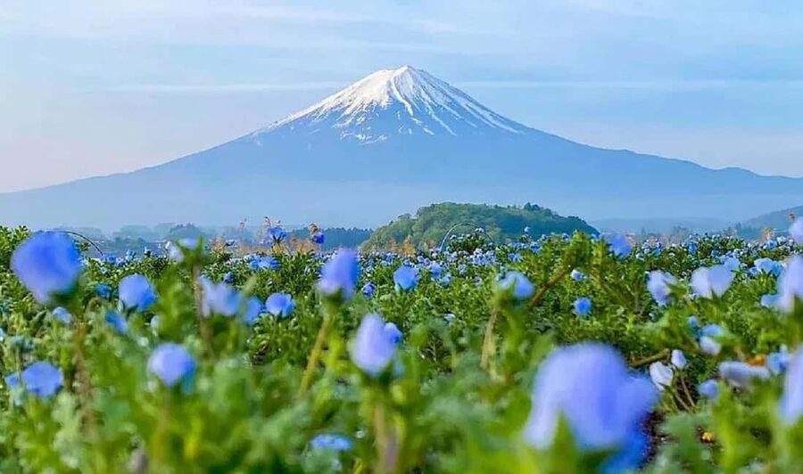 Mt. Fuji & Lake Kawaguchiko Ropeway Panorama Full-Day Tour - Starting in central Tokyo and settling into the bus