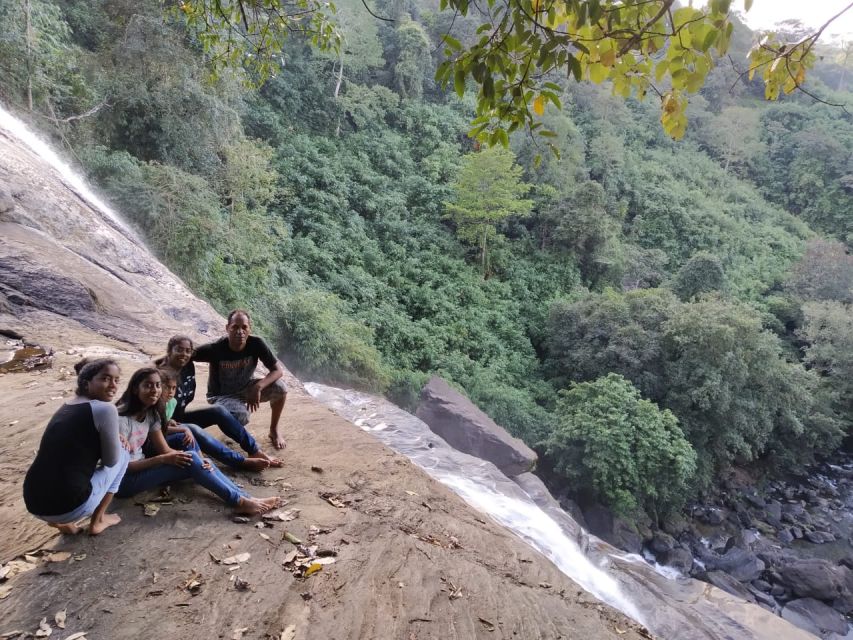 Munnar: Tea Garden and Elephant Safari Trip by 4x4 - Key points to know before you book