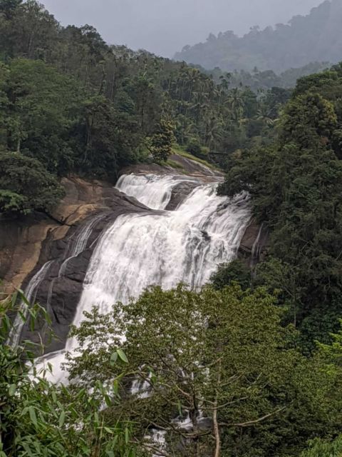 Munnar: Tea Garden and Elephant Safari Trip by 4x4 - What this Munnar trip is really like