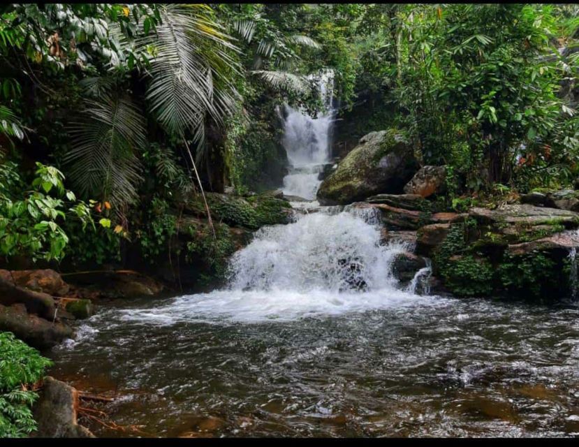 Munnar: Tea Garden and Elephant Safari Trip by 4x4 - Tribal village visit and Thumankuthu waterfalls