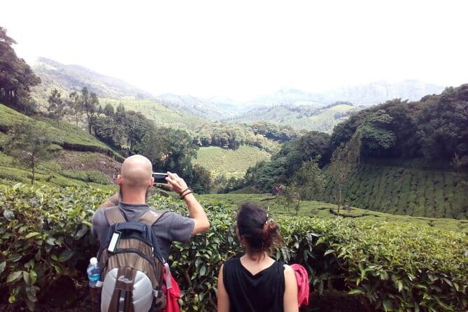 Munnar Tea Plantation Evening walking with Sunset View - Key details before you book