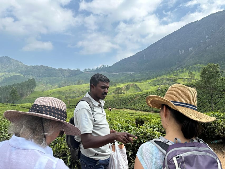 Munnar: Tea trail, Tea Factory, and Tea Tasting Tour - Tasting five or six Munnar teas