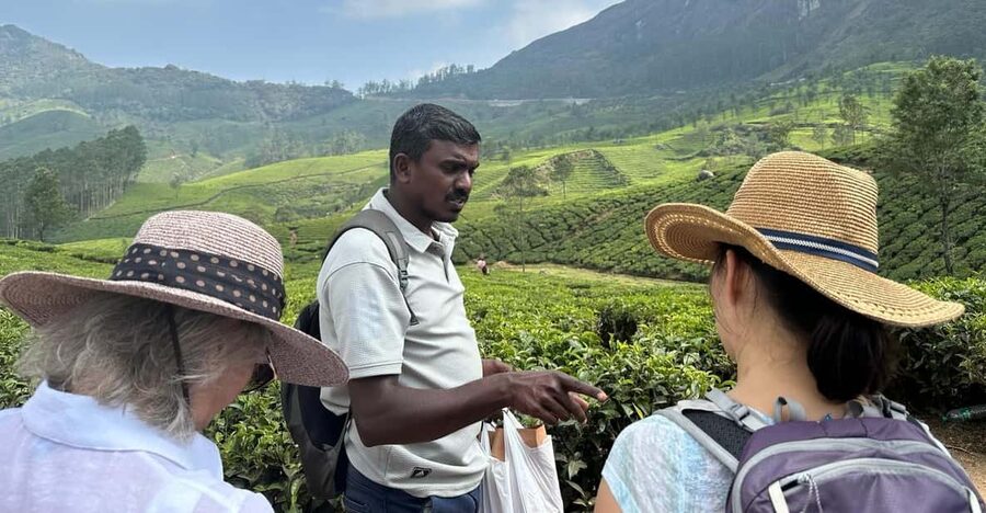 Munnar: Tea trail, Tea Factory, and Tea Tasting Tour - Who will enjoy this tea experience most?