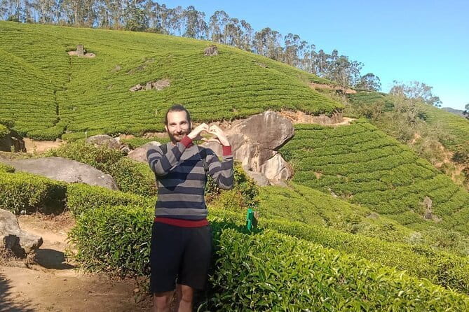Munnar Tea Trail Tour , Tea factory visit & Tea Tasting - What the $14 Price Really Buys
