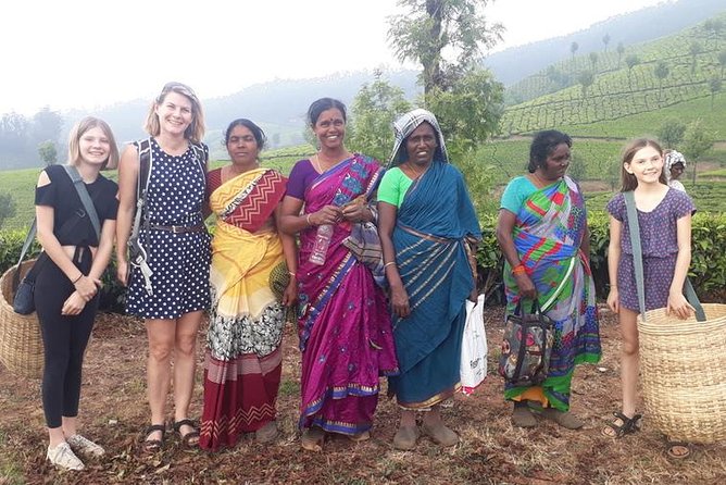 Munnar Tea Trail Tour with Factory Experience ( By Munnar Info) - Timing, transport, and the small details