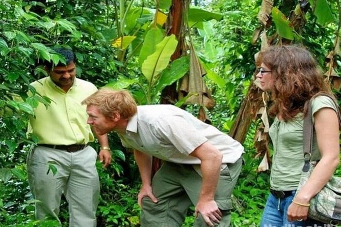 Munnar Tea valley Tour ( By Munnar Info) - Key points before you book