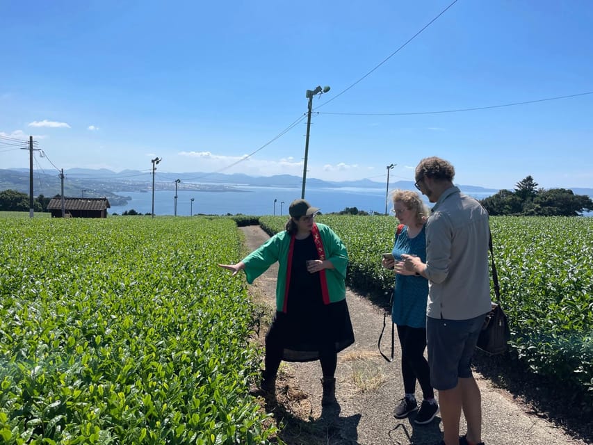 Nagasaki: Explore Japanese Teas on a Tea Tour - Inside a Tamaryokucha factory