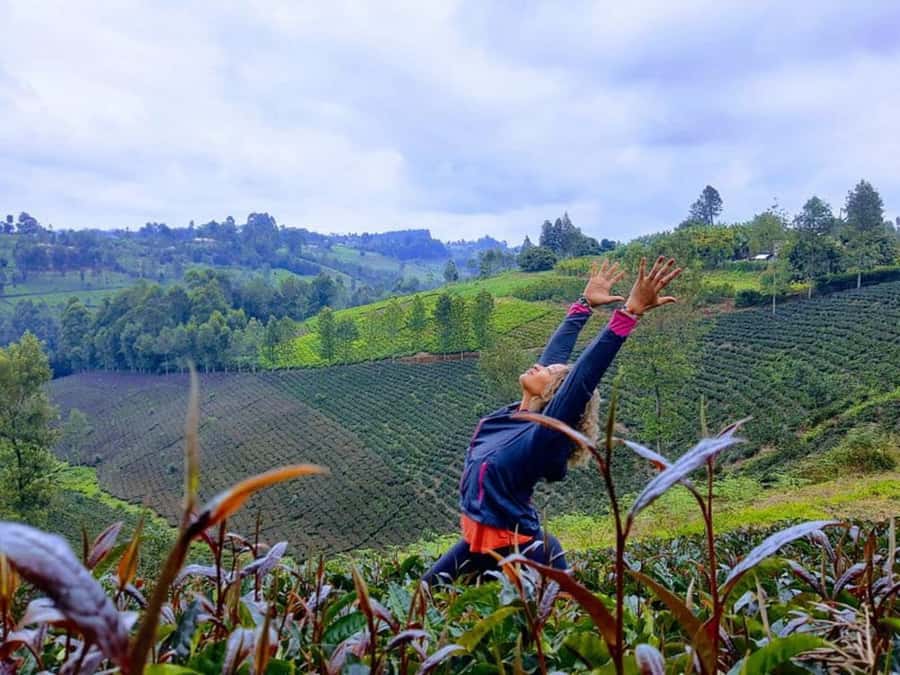 Nairobi: Purple Tea Farm Gatura Greens Day Trip - Tea tasting with more than one cup