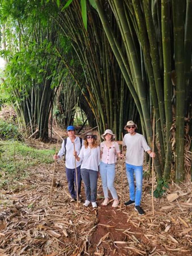 Nairobi: Purple Tea Farm Gatura Greens Day Trip - A farmhouse lunch with tea in the menu