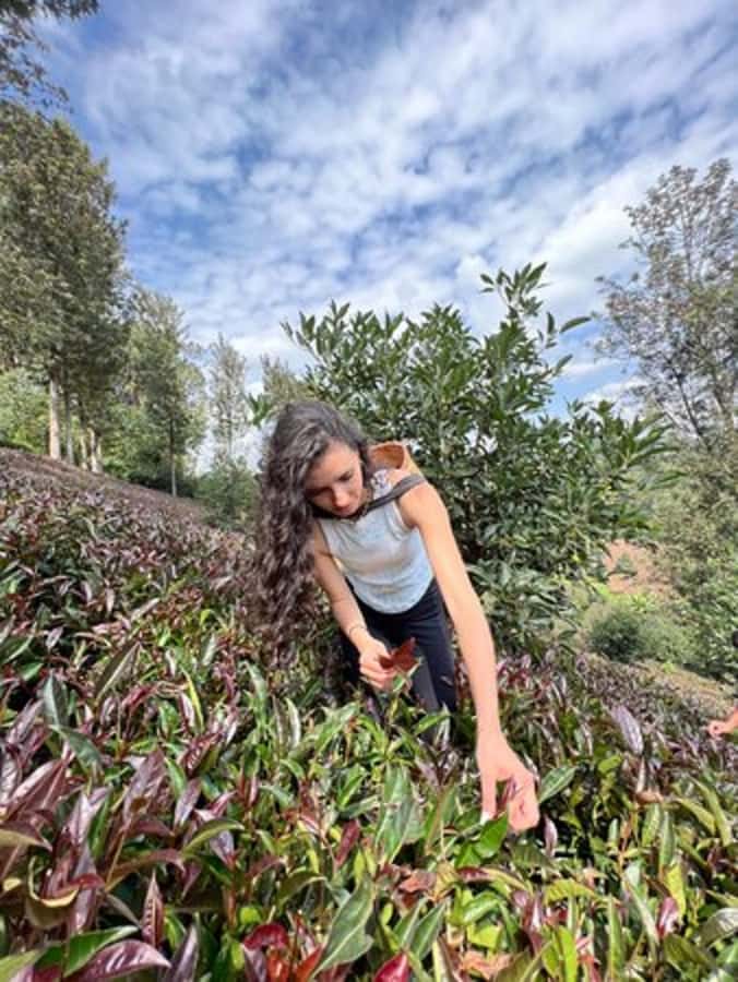 Nairobi: Purple Tea Farm Gatura Greens Day Trip - Meeting the purple tea farm