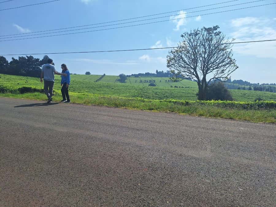 Nairobi: Tea Farm Day Trip with Lunch at kiambethu - What the $44 price really means