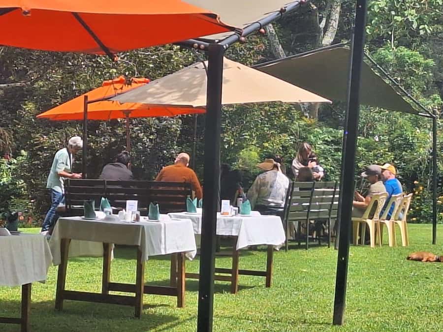 Nairobi: Tea Farm Day Trip with Lunch at kiambethu - Languages, timing, and other practical details
