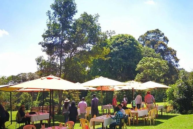 Nairobi to Kiambethu Tea Farm Tour - Tea, Coffee, and the Story Behind Kiambethu